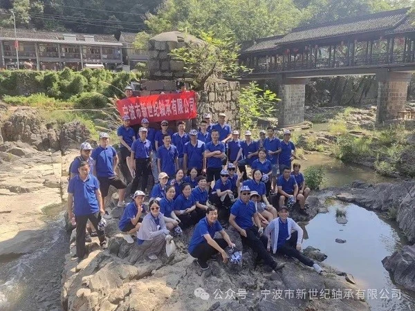 Ningbo New Century Bearing Co Ltd